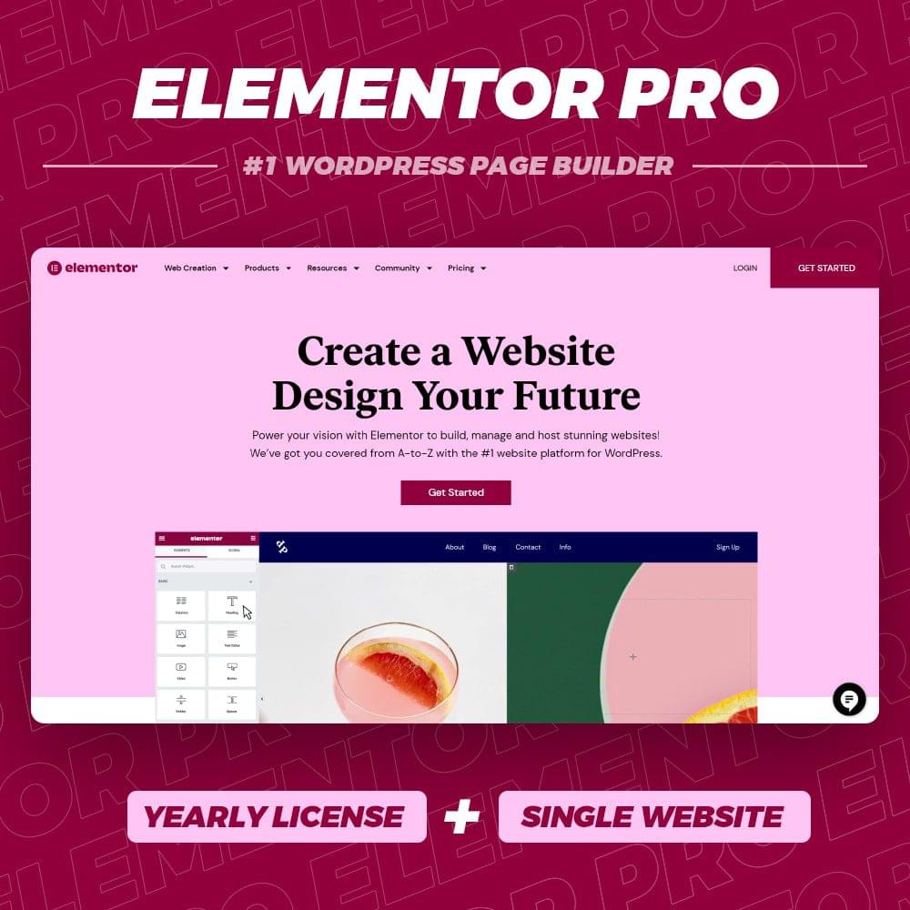 Elementor Pro